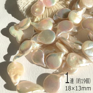 hbvWp[1A@19 18×13mm iWp[@obN Ԃт RC ^ nhChp[c p[c r[Y ANZT[ v[g Mtg@sAX@p[@