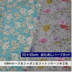 y50×50cmJbgNXzYUWA*L*KNV{ʂ̃vgV[eBORbg2F