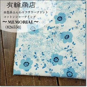 YUWAL֐Fnӂt[vg`MEMORIAL`RbgV[eBO(826550)