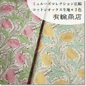 YUWA*L*~[YRNV RbgIbNX*|s[̉ԃgȉԁL2F(MULHOUSE)