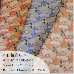 YUWALց~[YRNVV[eBORbgBrilliant Flower3F(MU829707)