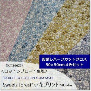 50×50n[tJbgNXZbgSweets forestԃvg(KTS6623)Rbg΂₵4FZbg