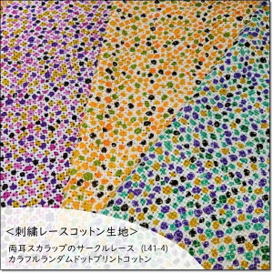 hJ[XRbgnXJbṽT[N[X_ȃJthbgvgRbg*3F(L41-4)