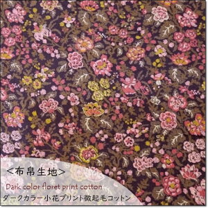 z吶nNу_[NJ[ԃvgRbg