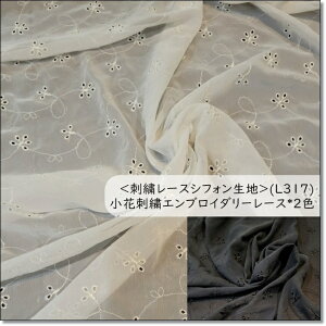 hJ[XVtHnԎhJGuC_[[X*2F(L317)