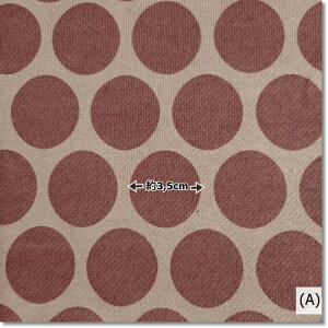 jbgngȃRChbgaFPOPȐʃvgуjbg4F