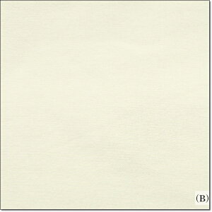 y10i1mj܂Ń[֔zjbgnyȂujbgnz42Z`WЁ30/1XptCX6Fi6403-1j(It/AC{[/Cgx[W/O[W/X/X[NL[s