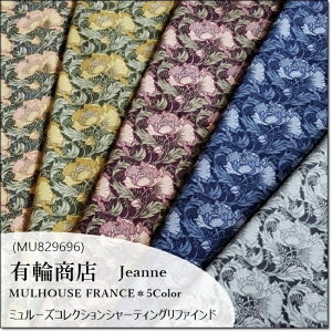 y50cm×50cmJbgNXzYUWALց~[YRNVV[eBO t@Ch Jeanne5F(MU829696)