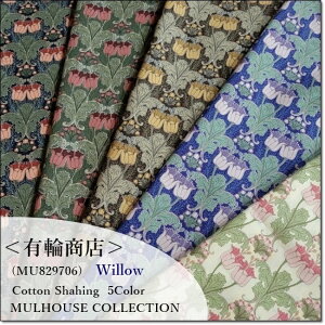 YUWALց~[YRNVV[eBORbgWillow5F(MU829706)