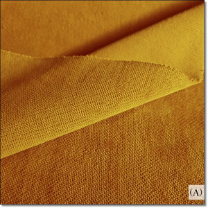 z吶nR[fCXgb`TOP2F(M1323)