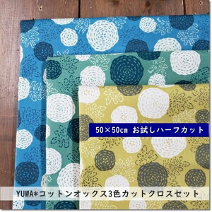 y50×50cmJbgNX3FZbgzYUWALցCotorienne 20IbNXnten ten