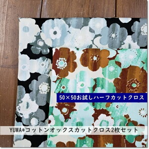 y50×50cmJbgNX2FZbgzYUWA*LցRbgIbNXngȉԃvg