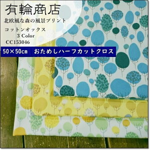 L֏XYUWA50×50cmJbgNXkȐX̕ivg(CC153046)RbgIbNXn 3F