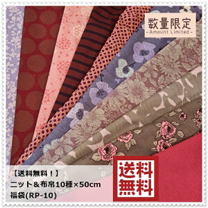 jbgz吶n10ZbgyIzjbgz10큖50cmJbg(RP-10)