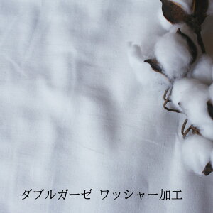 AEgbgy1mPʁz_uK[[@bV[H[M 1/1]bZS2mv[g