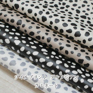 y50cmȏ10cmPʁzcCvg _VA ~l[gmM 1/10nz n  Rbg  q s R[f h WF { Aj}  l킢 