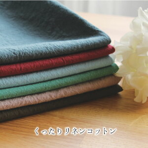 y50cmȏ10cmPʁz胊lRbg J[ [M 1/20] 13F  110cm n l Ȗ k WF ݃J[ s[X Vc pc Gv XJ[g Jo[ uEX 