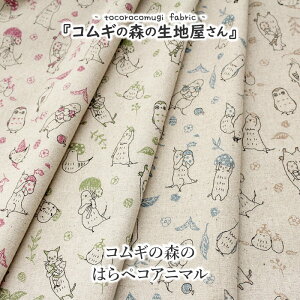 y50cmȏ10cmPʁzRM̐X̐nȖLoXvg RM̐X̂͂yRAj}gRRM񏑂낵^Ov[gy10cmPʁzy[2m܂Łz[M 1/20