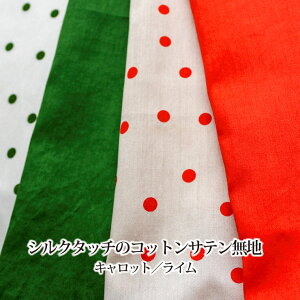 y50cmȏ10cmPʁzVN^b` RbgTe n Lbg/C [M 1/20]n z moipon R{ { Y   킢Vv  炩 g s[X uE