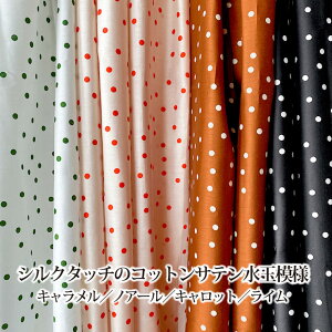 y50cmȏ10cmPʁzVN^b` RbgTe ʖ͗l L/mA[/Lbg/C [M 1/20]110cm n z moipon R{ { Y  hbg   炩 