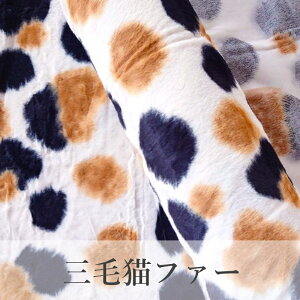 y50cmȏ10cmPʁzOєLt@[m[֕sn70cm n z Lbg{A Жʃ{A  킢 }t[ Xg[ obO xXg lbNEH[}[ H~  ʂ 