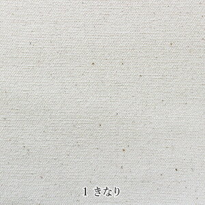 y50cmȏ10cmPʁz10nv ptBH 6F[M 1/5] 112cm n z v z n obO  G AEghAObY t@ubNo[h fabric bird