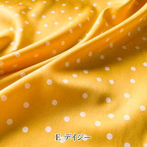 y50cmȏ10cmPʁzVN^b` RbgTe ʖ͗l 2023[M 1/20]110cm n z { Y 100% hbg  킢 i  炩 g s[X uEX fabric b