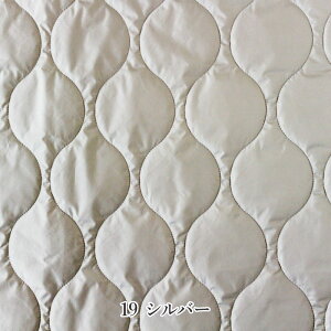 y50cmȏ10cmPʁzЂ傤LgiIjIjmM sn11F  145`150cm L L n z o[Vu Ђ傤^ IW lCr[ O[ ybg Lg LeB