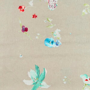 yȖ[[Nсz10cmPʑăJbgj[[jO1@naniIRO2023@S5F@10m3