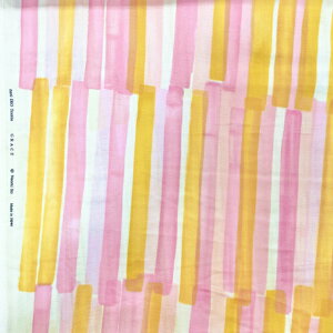 yI[KjbN_uK[[z10cmPʑăJbgOCX@GRACE@XgCv@naniIRO2023@S4F