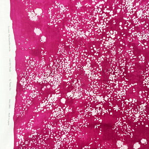 yI[KjbN_uK[[z10cmPʑăJbgCij@Lei nani@ԁ@naniIRO2023@S4F