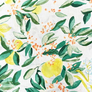 ylz10cmPʑăJbg}[S@ʎƉԕ@naniIRO2024@S2F