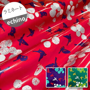 ly₠胉~l[gz50cmnM\AO@ƃT[N@echinowc50cm×107cmx