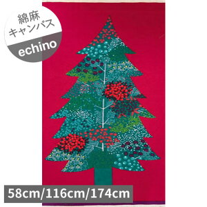 yȖLoXz󂠂nM echinoc[3e B.bhn w1pl or 2pl or 3plxnMׁ̈AI[ig̃v[g͕t܂ cs12