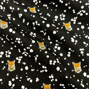 y[z10cmPʑăJbgechino@tHbNX@Fox@2024@S4F