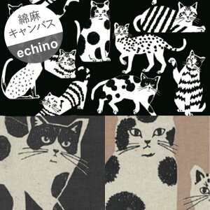 󂠂聦yȖLoXz33cmnMechino@CAT CAT@傫ȔLwc33cm×110cmxS3F@2025ʏ̃plƂ̓JbgʒuEقȂĂ܂B