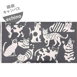 󂠂01yȖLoXz58cmnMechino@CAT CAT@傫ȔL@B.O[nwc58cm×110cmx2025ʏ̃plƂ̓JbgʒuقȂĂ܂B