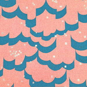 yȖLoXz10cmPʑăJbgechino@t[g@float@2025@S4F