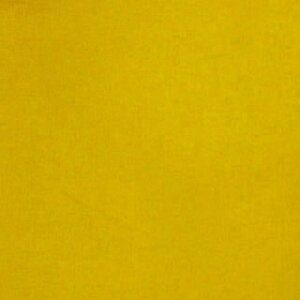 󂠂聦yȖLoXz70cmnMj[A@solid@n@echino Standard@2025@J[FD.}X^[hwc70cm×110cmx_D菝܂܂邽ߖ󂠂ƂȂ܂