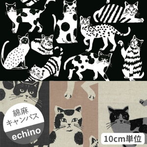 y}v[gzyȖLoXz10cmPʑăJbgechino@CAT CAT@傫ȔL@NekoNoe2025@S4F