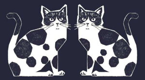 �y�Ȗ��L�����o�X�z����62cm�p�l���P�ʑ����ăJ�b�g��echino�@TWOCAT�@2�C�̑傫�ȔL���@NekoNoe�@2026�@�S4�F