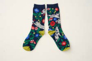 echino�@�\�b�N�X�@socks�@�S4�F�@2026