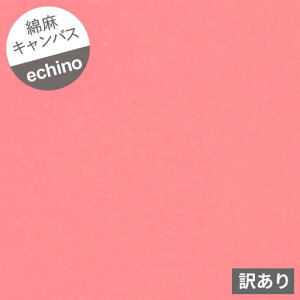 󂠂聦yȖLoXz10cmPʑăJbgsolid@n@echino Standard@R[sN