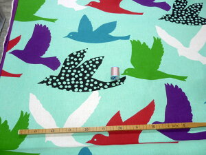 �y�_�u�����Ȗ��V�[�`���O�z��10cm�P�ʑ����ăJ�b�g��echino�@�r�b�O�o�[�h�@�S4�F