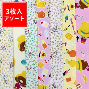 c58cm×35cm3Ȃ݃A\[g܁yȂ G{ ܂̂  ʉ w ʊw  nhCh  LN^[ n zz