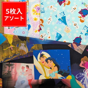 c58cm×35cm5vZXA\[g܁yfBYj[ Disney  ʉ w ʊw  nhCh  LN^[ n zz