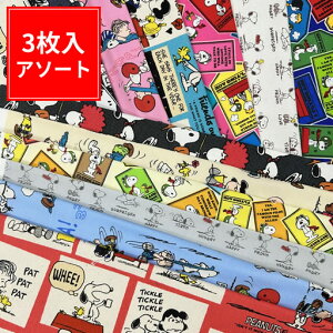 ◇縦45cm×横35cm3枚☆スヌーピーアソート☆福袋【ピーナッツ PEANUTS 入園 通園 入学 通学 手作り ハンドメイド お買い得 キャラクター 生地 布】