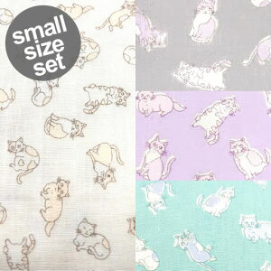 y_uK[[z50cm×50cm 4FZbg@CATS@~j~j˂@2025