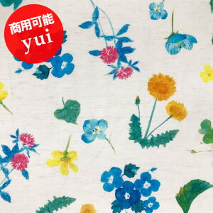 yvCXItzyȖRpXz10cmPʑăJbgʃvgyui@moi@nobana@2021@yC T yui by Ayano.ichiyanagi Avg fUCi[Y(p\) n zz