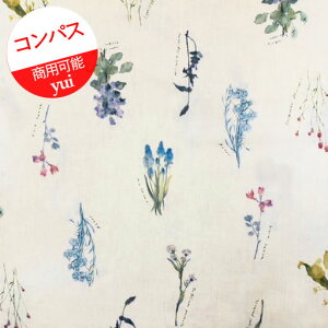 yȖRpXz10cmPʑăJbgʃvgyui@{^jJXPb`@botanical sketch@n@2022@y ͂  ԕ C T yui by Ayano.ichiyanagi n zz